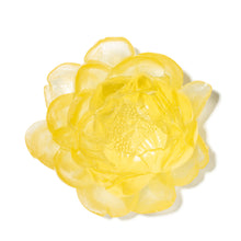 Load image into Gallery viewer, November - Citrine
