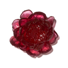 Load image into Gallery viewer, Peony
