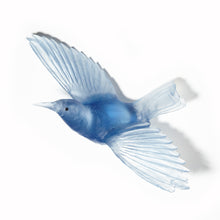 Load image into Gallery viewer, Tīeke / Saddleback
