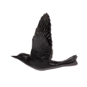 Pipiwharauroa / Shining Cuckoo