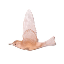 Load image into Gallery viewer, Pipiwharauroa / Shining Cuckoo
