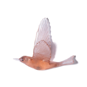 Pipiwharauroa / Shining Cuckoo