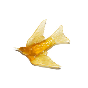 Warou / Swallow