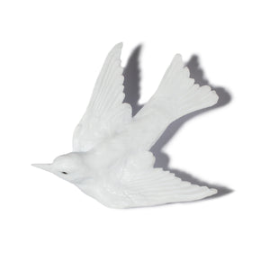 Warou / Swallow