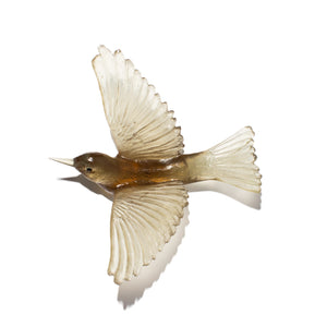 Tauhou / Silvereye