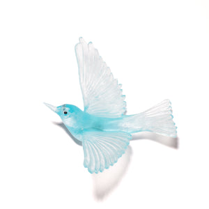 Tauhou / Silvereye