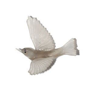 Tauhou / Silvereye