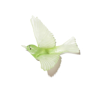 Tauhou / Silvereye