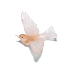 Load image into Gallery viewer, Tauhou / Silvereye
