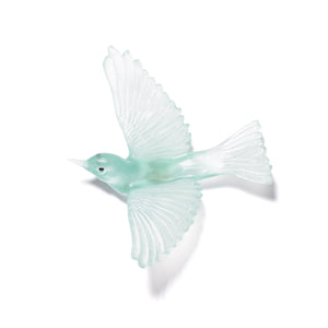 Tauhou / Silvereye