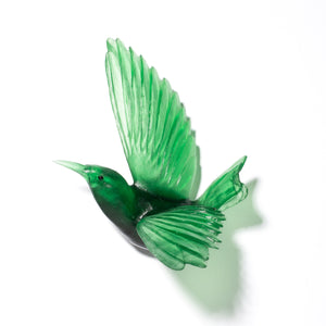 Tīeke - wings up / Saddleback