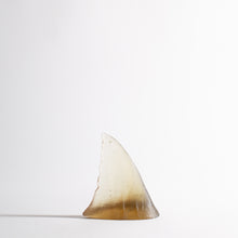 Load image into Gallery viewer, Shark fins
