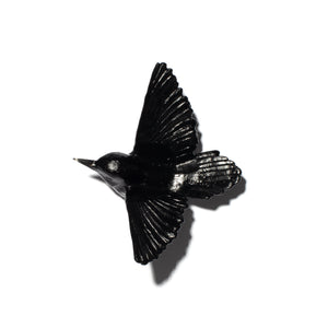 Miromiro / Tomtit