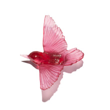Load image into Gallery viewer, Miromiro / Tomtit
