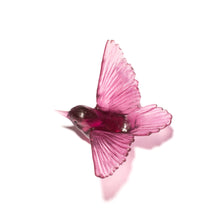 Load image into Gallery viewer, Miromiro / Tomtit
