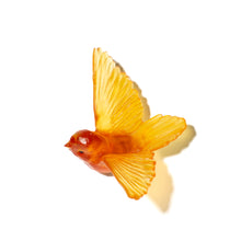 Load image into Gallery viewer, Miromiro / Tomtit
