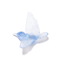 Load image into Gallery viewer, Miromiro / Tomtit
