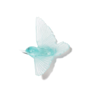 Miromiro / Tomtit