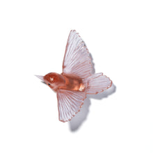 Load image into Gallery viewer, Miromiro / Tomtit
