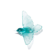 Load image into Gallery viewer, Miromiro / Tomtit
