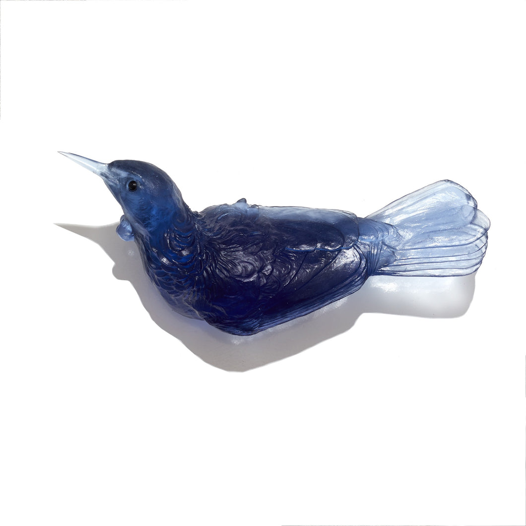 Tuī - Left Facing