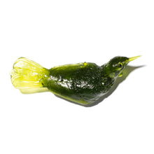Load image into Gallery viewer, Tūī
