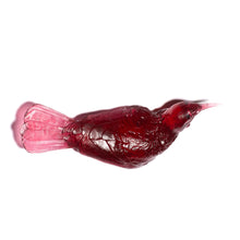 Load image into Gallery viewer, Tūī
