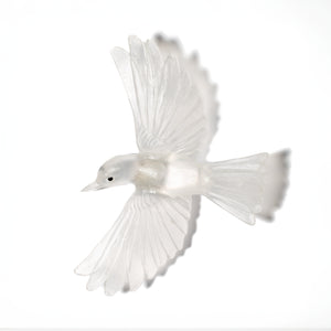 Mōhua / Yellowhead