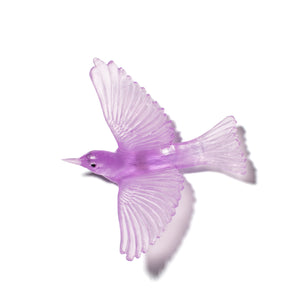 Tauhou / Silvereye