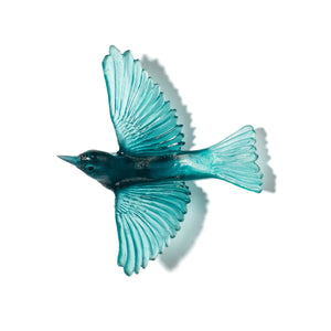 Tauhou / Silvereye