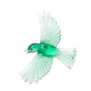 Mōhua / Yellowhead