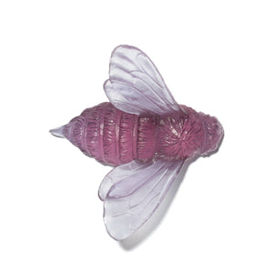 Bee - Wings In