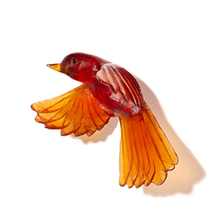 Pīwakawaka / Fantail - wings down