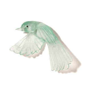 Pīwakawaka / Fantail - wings down