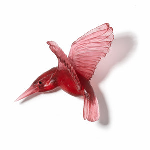 Kōtare / Kingfisher