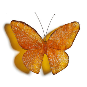 Monarch / Kakahu Butterfly - large size